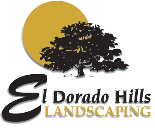 El Dorado Hills Landscape & Design 